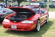 Mustang